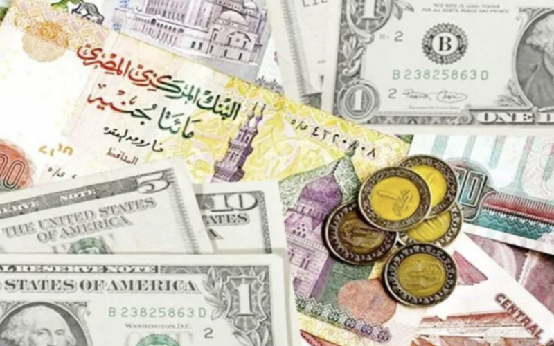 أسعار العملات في السوق السوداء اليوم الثلاثاء ٢٠ فبراير ٢٠٢٤ في مصر